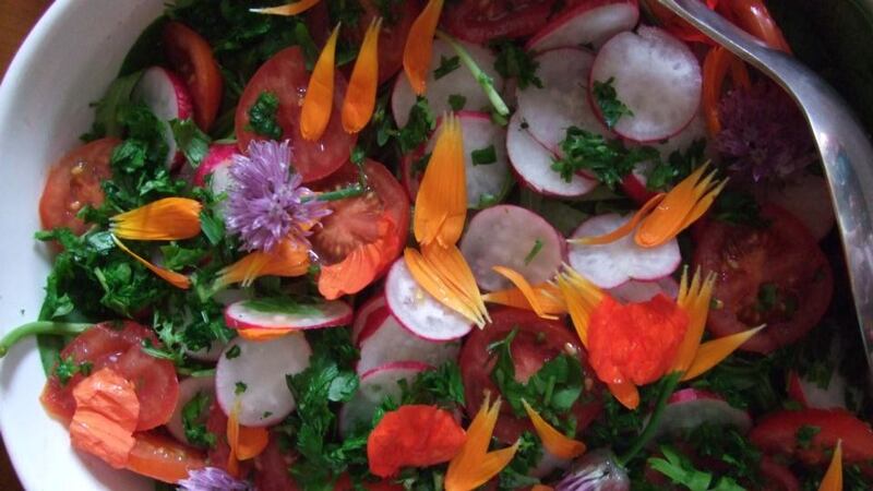Summer salad with flower petals (bitter flavour for the heart and the early summer season).