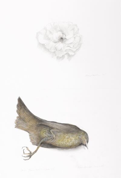 Anne Madden, Rose and Female Blackbird 2016