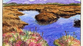 Another Life: Business case grows for Irish plants with healing properties