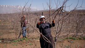 Syria’s interim president secures agreement with Druze and Kurds