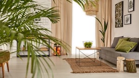 Your gardening questions answered: Will a dehumidifier damage my plants?