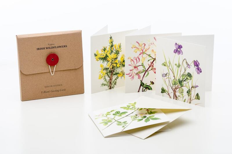Box of illustrated gift cards from Sylvia Caldwell of Kilcoe studios – €12