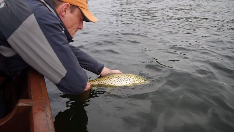 Dermot Leonard (Co Meath) releasing a good sized trout on Corrib, guided by Tom ‘Doc’ Sullivan.