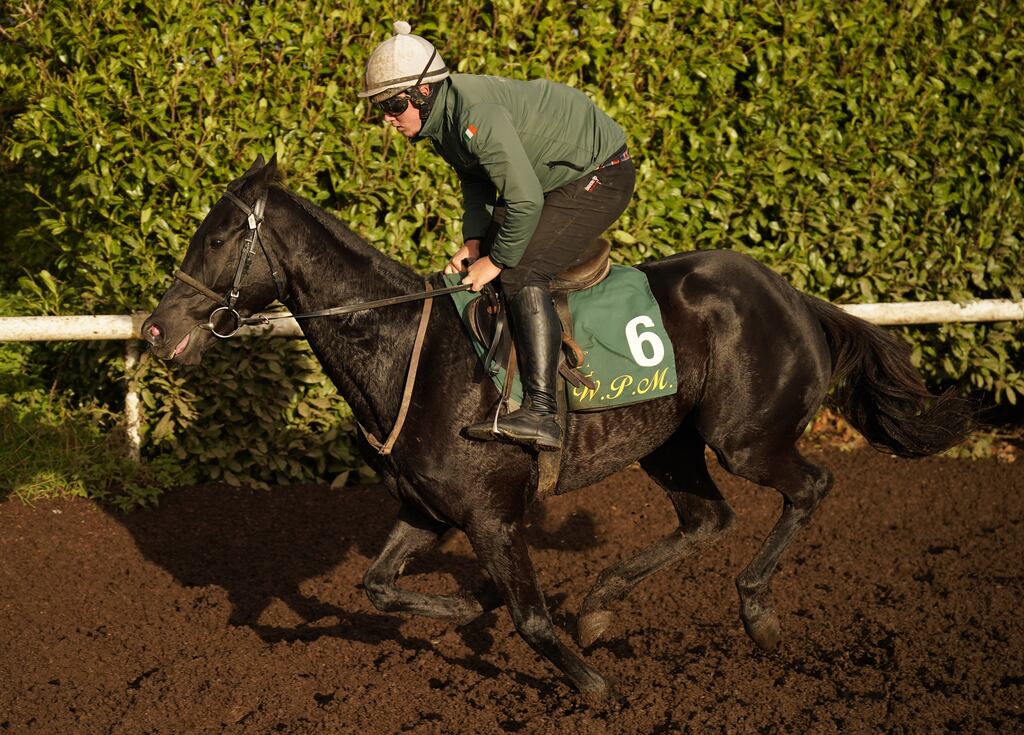 Cheltenham Gold Cup favourite Galopin Des Champs could run in Sunday's John Durkan Chase at Punchestown. Photograph: Niall Carson/PA Wire