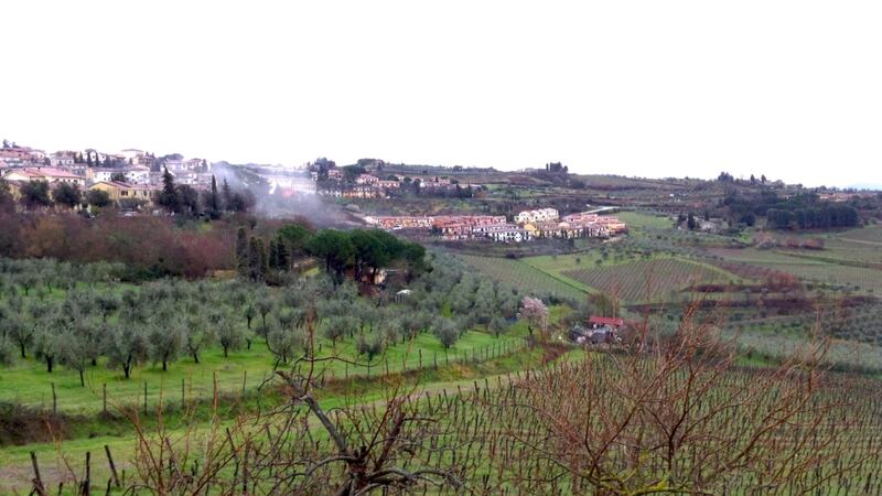 Teroldigo is unique to Trentino high up in the mountains of north-eastern Italy.