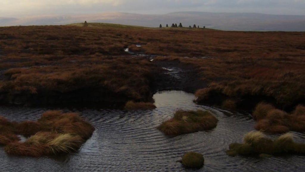 One of a selection of Thomas Maloney’s sacred combes