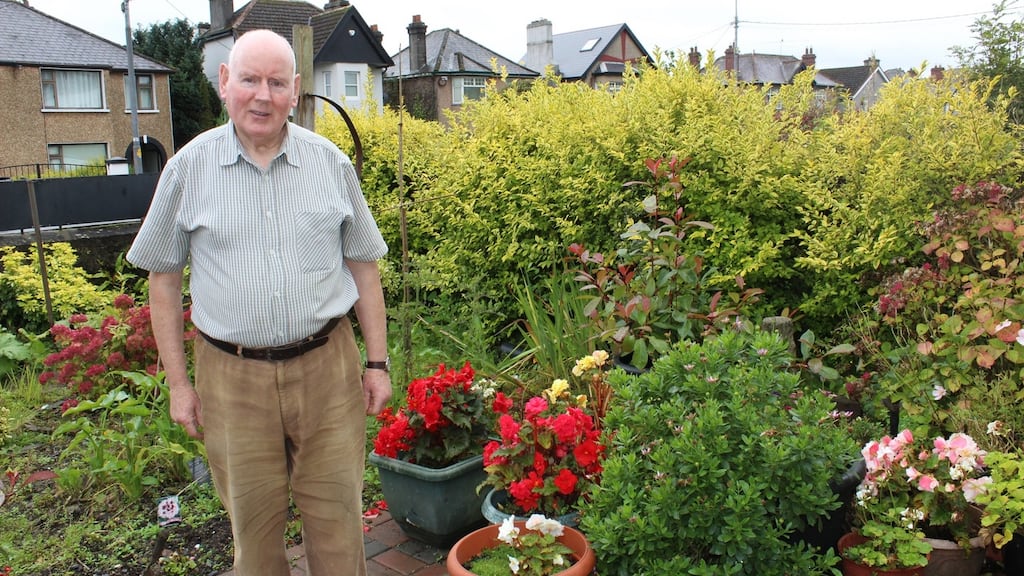 Paddy McMahon, from Ballinacurra in Limerick,  is one of 1,400 patients who will have received a cataract operation at Nenagh Hospital by the end of this year.