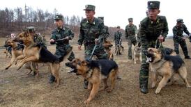 Concern to return to North Korea	as threat level decreases