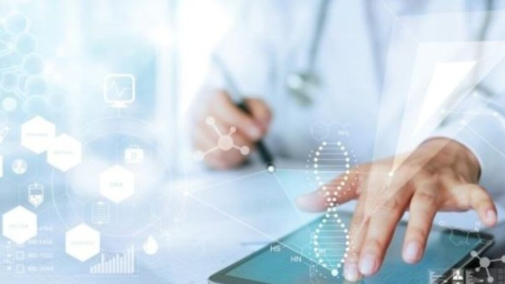 Clanwilliam employed 311 people at the end of last year, up from 219 in 2017