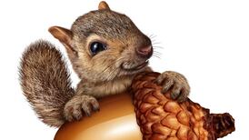 Ben and Pablo’s Adventure