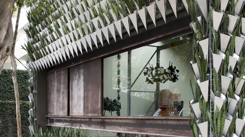 Playful dynamic design by the Campana brothers