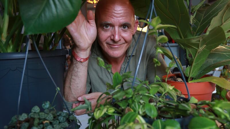 The junglalow: Conor Pope with a selection of houseplants he has been tending. Photograph: Crispin Rodwell