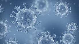 Forty deaths linked to Covid-19 recorded in Northern Ireland last week