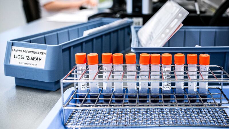 A medical laboratory receives a sample to test for the coronavirus Sars-CoV-2 in Roosendaal, The Netherlands. Photograph: Rob Engelaar/EPA