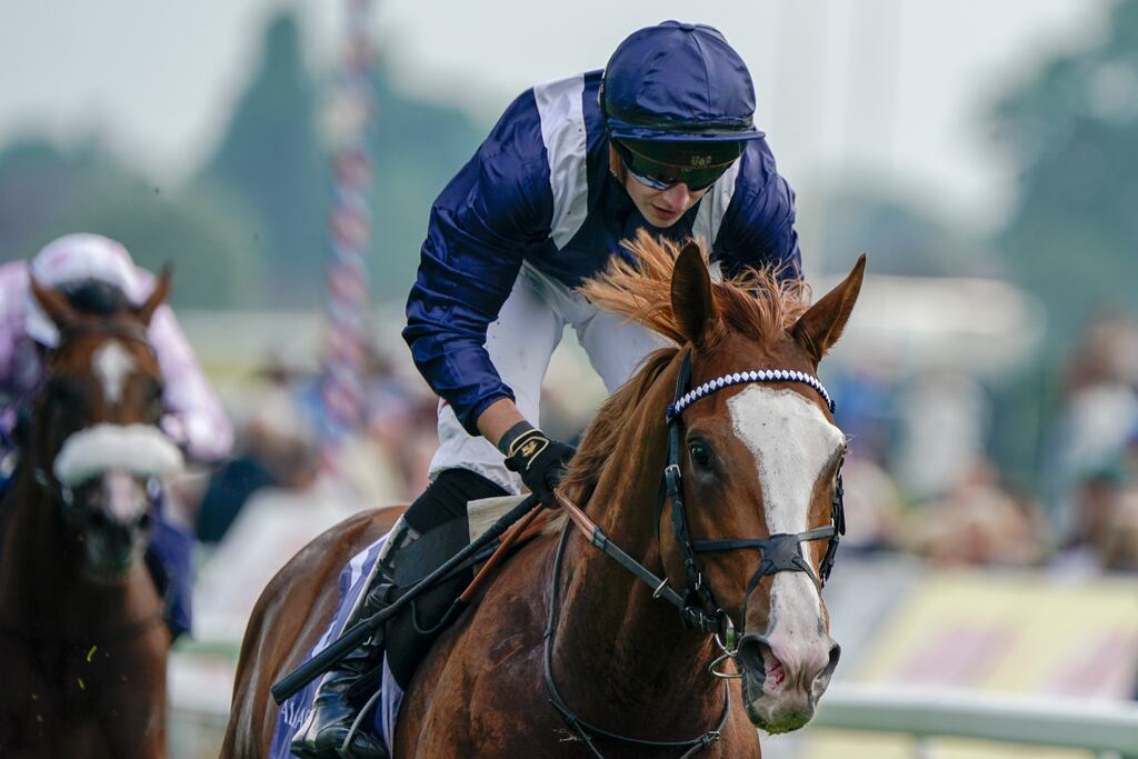 Tom Marquand riding Economics to victory in the Dubai Dante Stakes at York in May. Photograph: Alan Crowhurst/Getty Images
