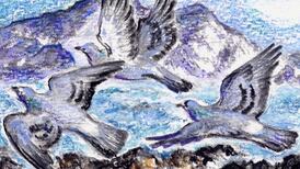 Another Life: Waiting for footfall on the wild Atlantic islands