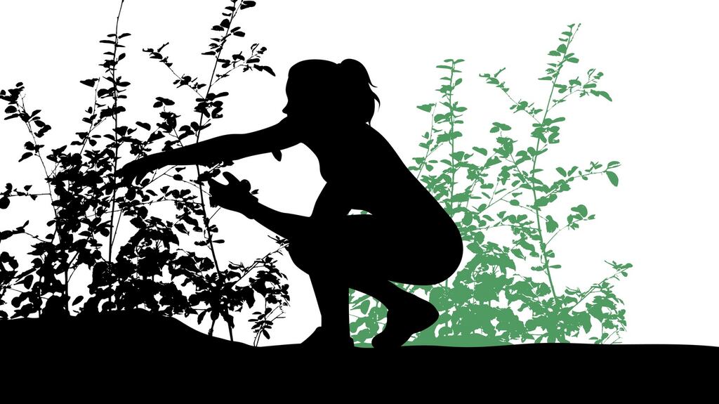 ‘She was a great gardener. She could bring bulbs to life with her fingertips.’ Illustration: iStock