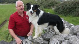 Budget 2017: Farmer’s sense of ‘relief’ at new measures