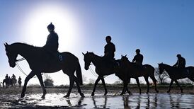 Willie Mullins juggling anticipation and stoicism ahead of Cheltenham 2021