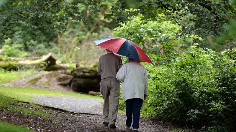 Coillte interested in tourism deals after strong profit growth