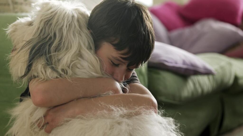 Hugging can reduce stress. Photograph: Thinkstock