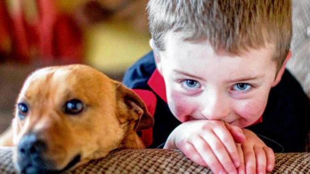 Jack Punch (4), from Co Clare, was diagnosed with meningitis when he was eight months old. photographs: eamon ward