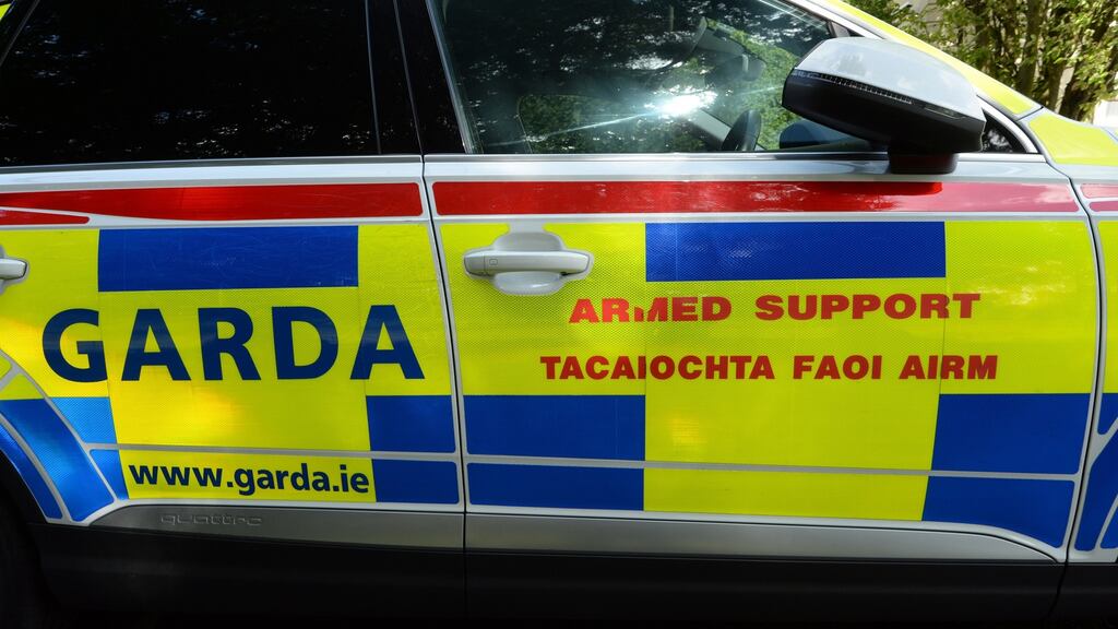 The Garda specialist unit that carried out the raid was supported by armed Garda back-up. File photograph: Cyril Byrne/The Irish Times