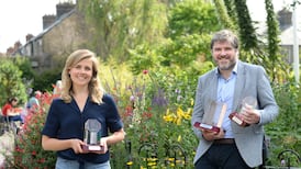 Irish Times crime journalist Conor Gallagher wins media award for Ana Kriégel story