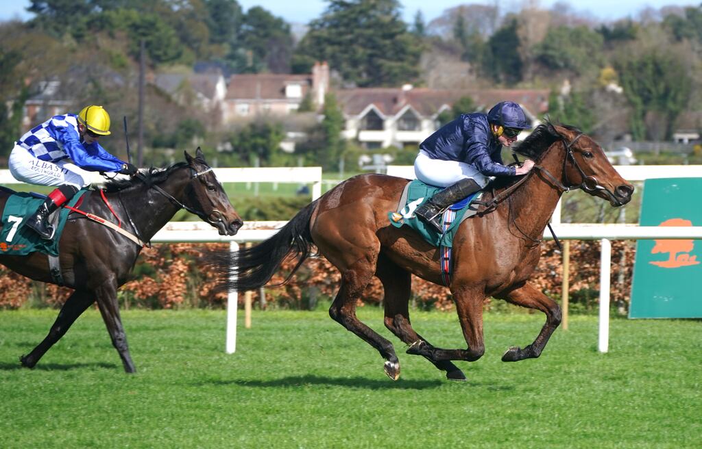 Aidan O'Brien's Never Ending Story finished fifth in the French 1,000 Guineas at Longchamp. Photograph: Niall Carson/PA Wire