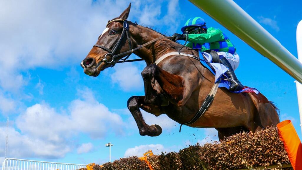 Appreciate It, ridden by Paul Townend, on the way to victory in the Sky Bet Supreme Novices’ Hurdle at Cheltenham last March. Photograph: Mark Cranham/Inpho
