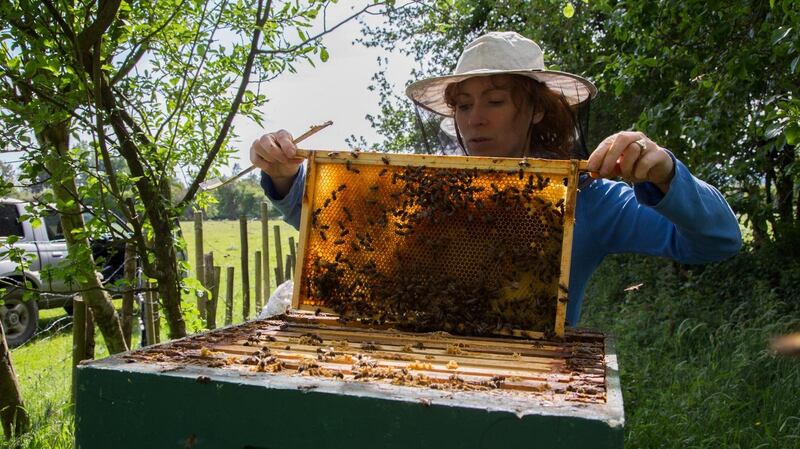 Honey producer Aoife Nic Giolla Coda: “Visitors often say that they never realised what a picturesque region this is.”