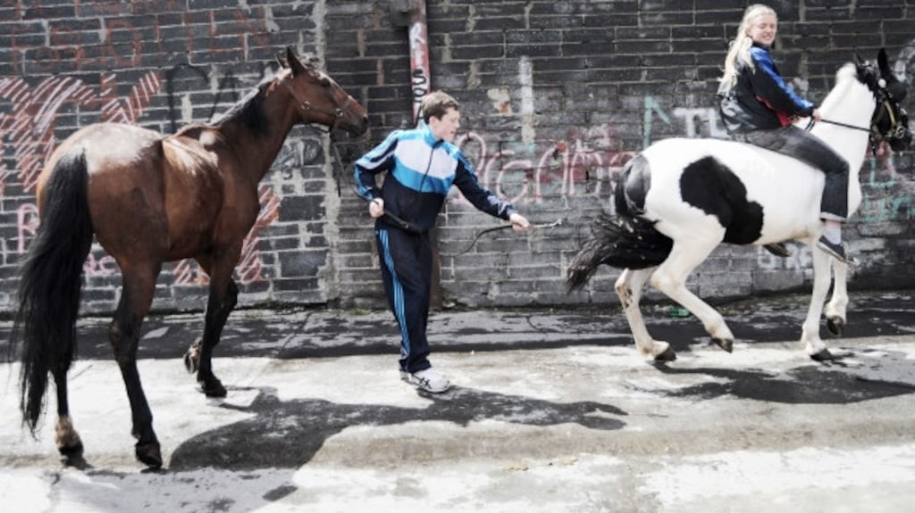 Dublin street horses: Right now, at Molyneux Yard in the Liberties, plans are in train to erase a bastion of this culture.