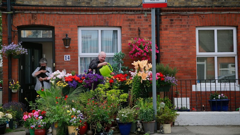 Maureen and Larry McDonnell (and Shadow the cat) of Dodder View cottages collect water from the Dodder River to keep their floral display fresh during the drought. Photograph: Nick Bradshaw/ The Irish Times