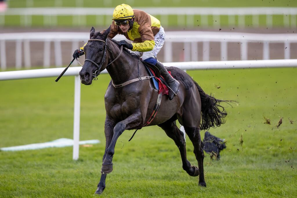 The Willie Mullins-trained Galopin Des Champs is set to run in Saturday’s Paddy Power Irish Gold Cup at Leopardstown. Photograph: Morgan Treacy/Inpho
