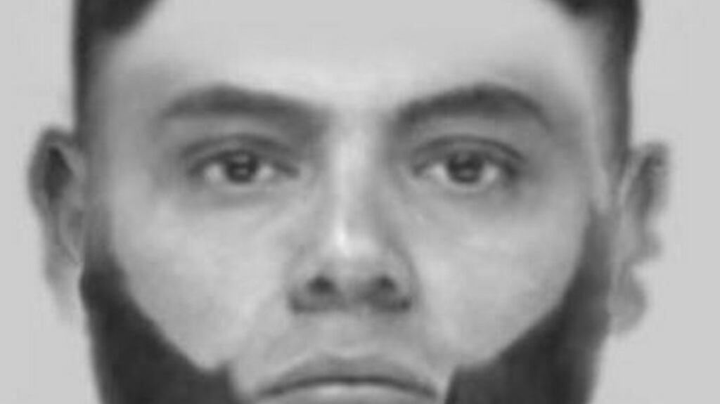 Gardaí in Dublin have issued an e-fit description of a man who allegedly sexually assasulted a woman and then ran away when he was disturbed by passers-by.