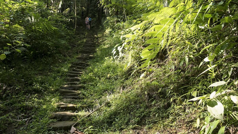The Lost City consists of a series of 169 terraces carved into the mountainside, a net of tiled roads and several small circular plazas. Photograph: Getty Images