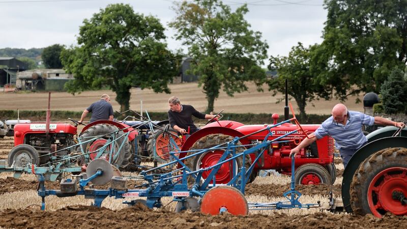 Davids Grattan (centre), from Co Down, during the vintage 2 furrow class, at the opening day of the National Ploughing Championships. Photograph: Dara Mac Dónaill