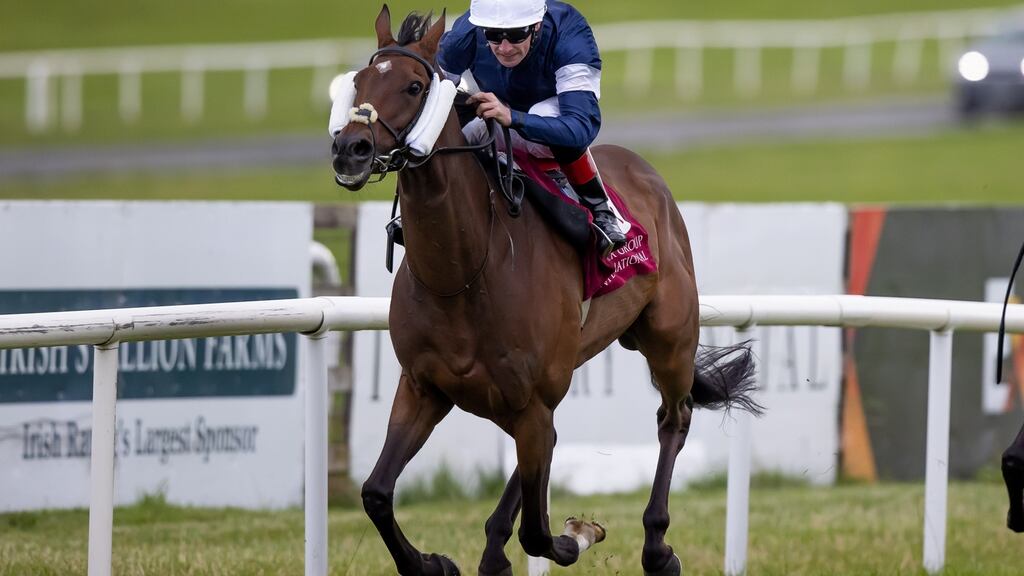 Twilight Payment is bidding to win back-to-back Melbourne Cups. Photograph: Morgan Treacy/Inpho