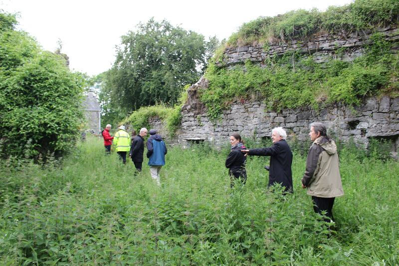 Sligo Field Club will better acquaint you with all Yeats Country has to offer
