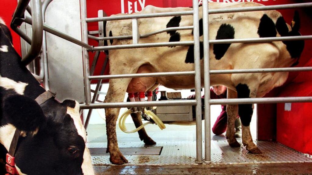 A Lely Astronaut robotic milking machine in operation. “There’s been a major increase in demand in the last eight to 10 years in Ireland and sales have grown exponentially since,” said Lely’s sales manager Aidan Fallon.