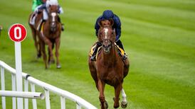 Aidan O’Brien’s Serpentine could be supplemented for the Arc