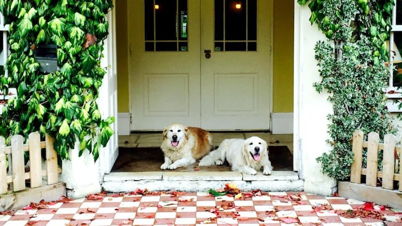 Oscar and George are ready to welcome guests to BrookLodge Hotel in Wicklow.