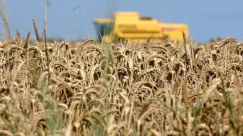 Ireland’s economy will grow at its slowest pace in three years in 2017, according to Ibec. Photograph: Dan Linehan