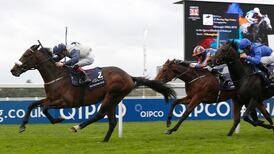 Blue De Vega stakes Classic claims with Leopardstown win