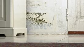 What’s the story with the damp patch in our concrete wall?