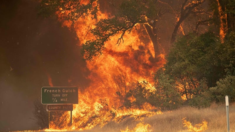 Trees burst into flame during the Carr fire near Whiskeytown, California on July 27th, 2018. Photograph: Josh Edelson/AFP/Getty Images