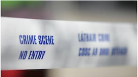 Suspended sentence for driver after trailer pins woman to wall