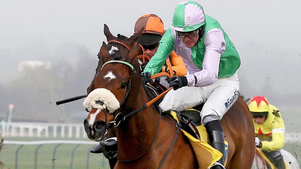 Hidden Cyclone, ridden by Andrew McNamara, moved up to the winner’s enclosure in the Boylesports Tied Cottage Chase. Photograph: Dan Sheridan/INPHO
