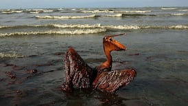 Gulf of Mexico-style oil spill ‘could happen again’