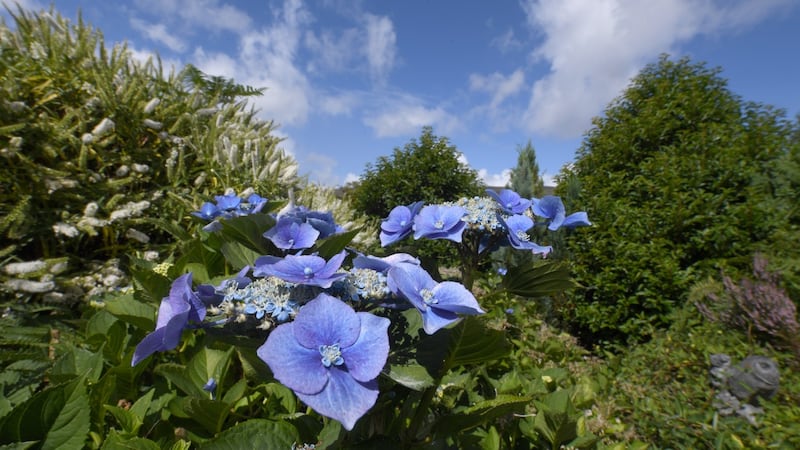 Photograph: Domnick Walsh/Eye Focus